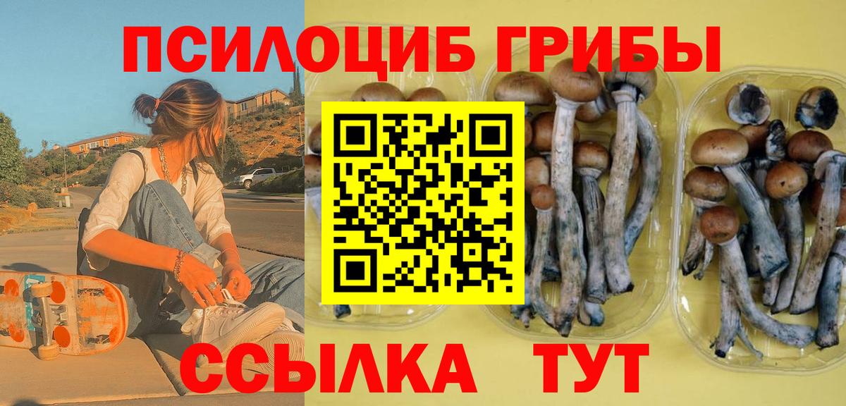 Галлюциногенные грибы Psilocybe  Вход с VPN  как найти   Можга  Галлюциногенные грибы Cubensis 