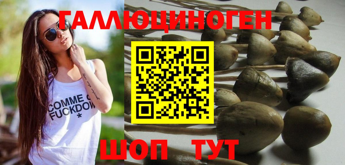 Псилоцибиновые грибы GOLDEN TEACHER Можга